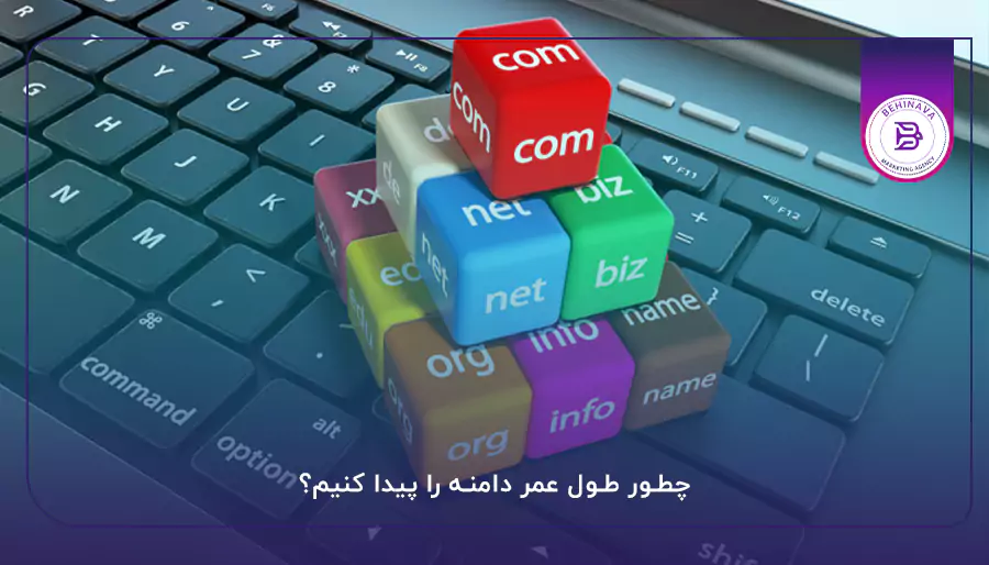 چطور طول عمر دامنه را پیدا کنیم؟