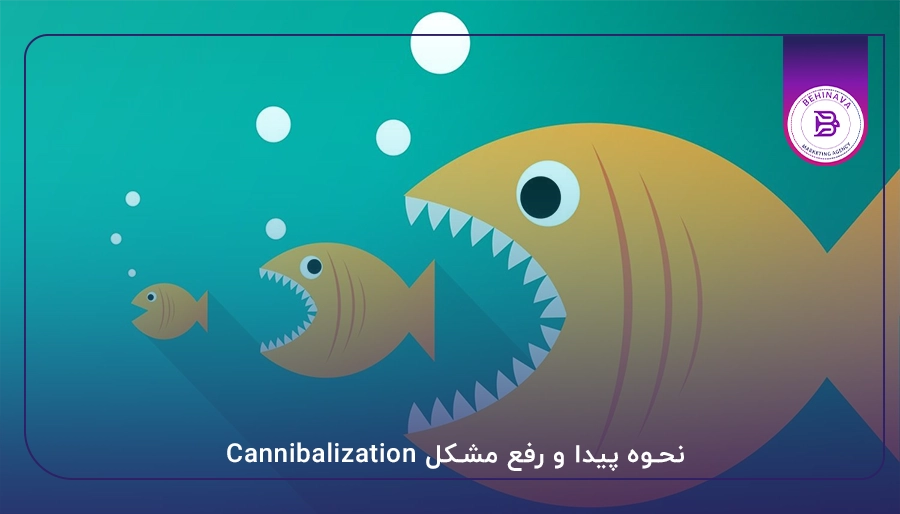 نحوه پیدا و رفع مشکل Cannibalization