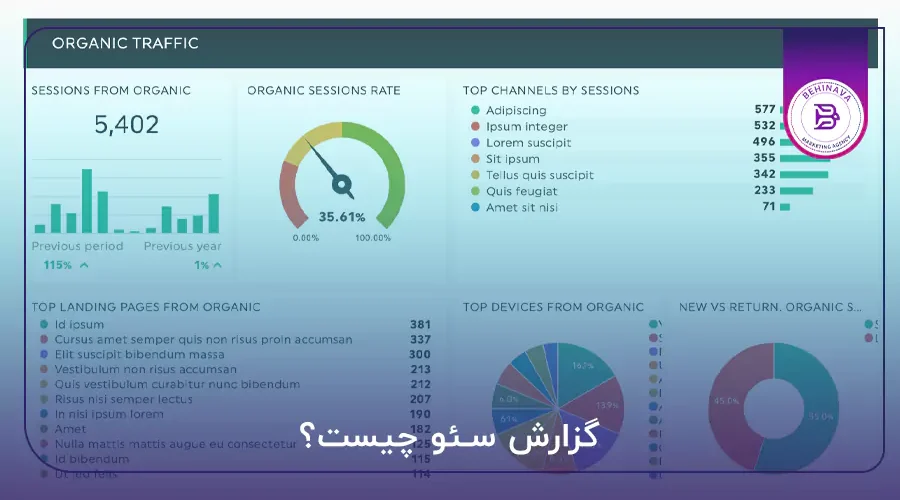 گزارش سئو چیست؟